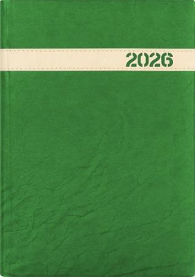 Naptár, tervező, A5, napi, DAYLINER, "The Boss", zöld